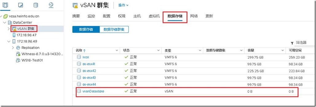 vSAN群集只显示一个vSAN存储