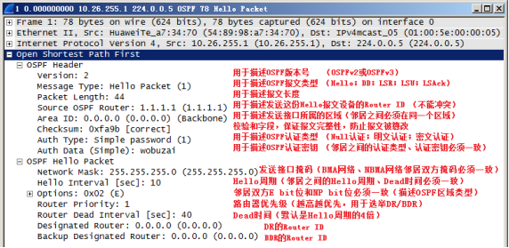 OSPF邻接关系建立