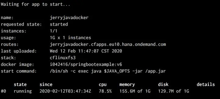 在 SAP 云平台上部署和运行 Docker 应用