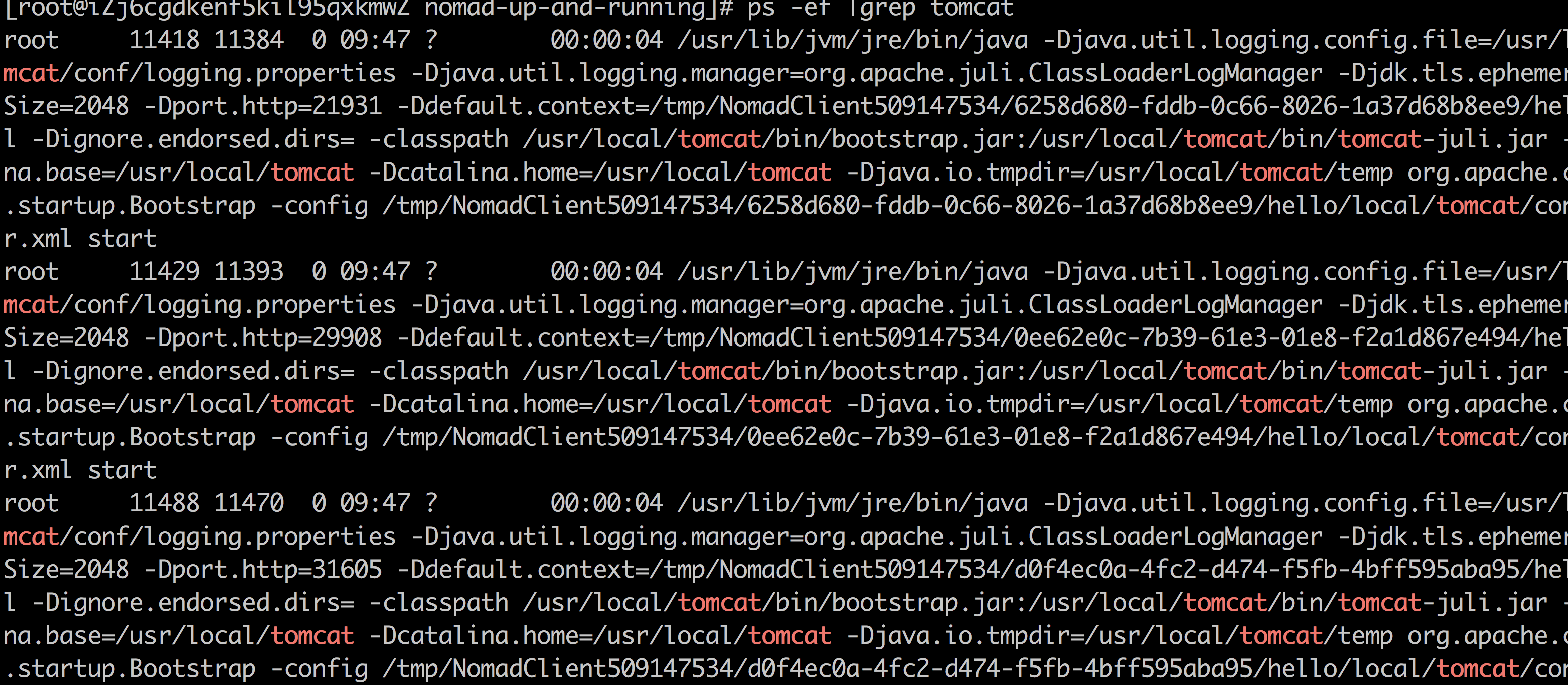 一个不错的nomad raw_exec && docker 运行例子（集成访问网关）