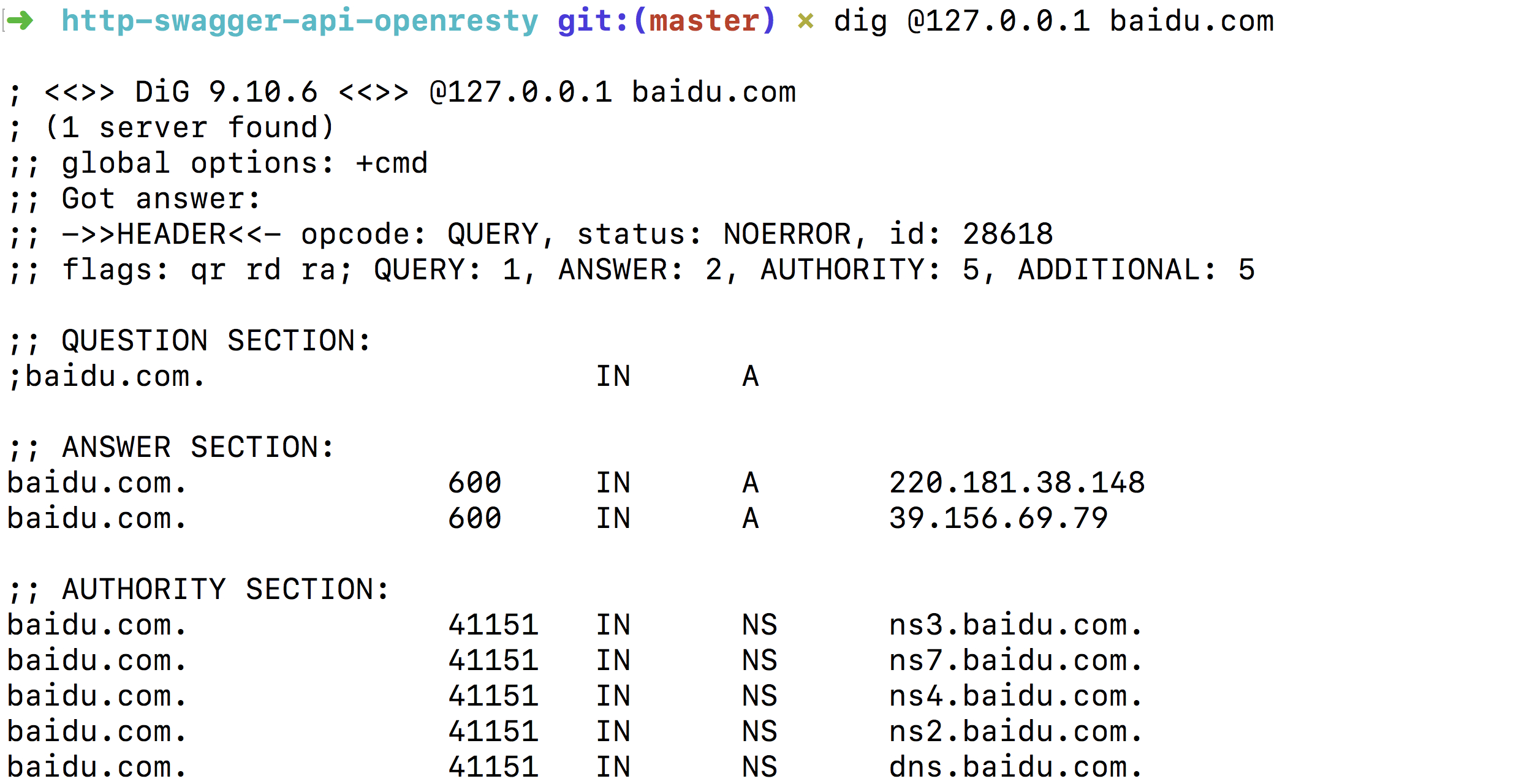 基于nginx proxy dns server