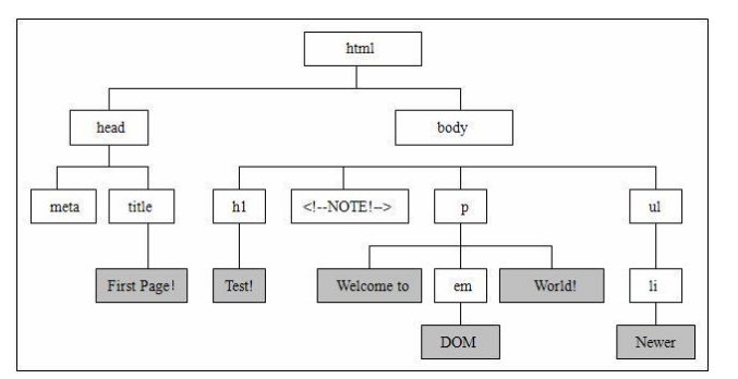 CSS 样式详解