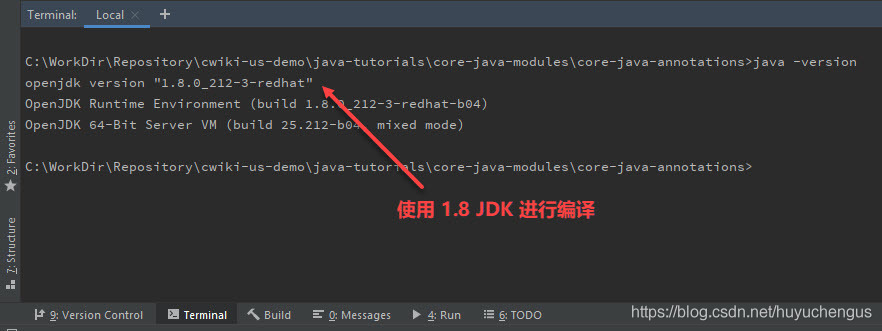 Java 项目编译错误 Error:java: java.lang.ExceptionInInitializer