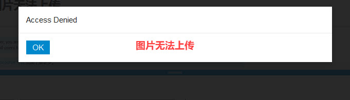 S3 存储附件和图片无法上传