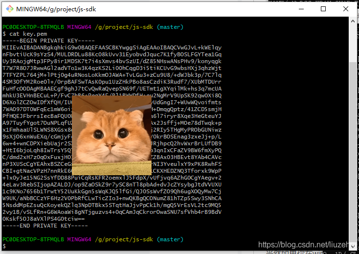 windows中的类cat命令（windows和linux命令差异一）