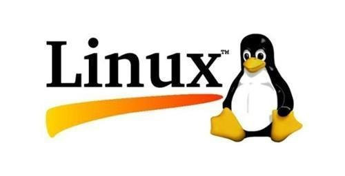 Linux文件系统误装入到Ocfs2文件系统的数据卷上的解决过程