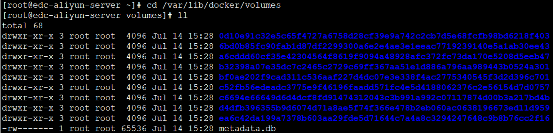 Docker数据卷(Volume)