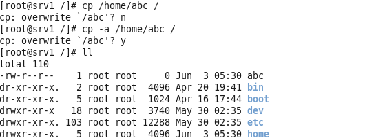 linux常用文件命令