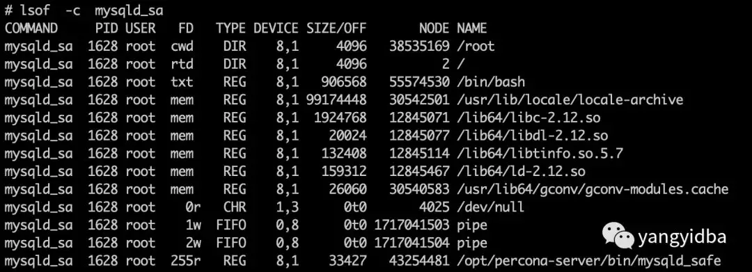 Linux命令--lsof