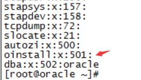 被忽视的oracle用户属组