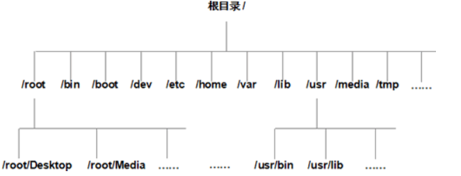 Linux入门-结构与命令【长期更新】