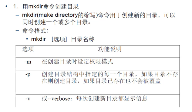 Linux入门-结构与命令【长期更新】