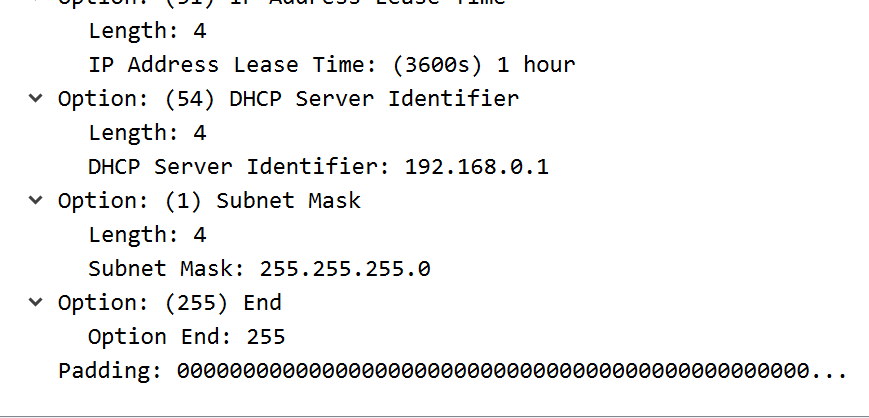 企业网络入门-DHCP报文分析