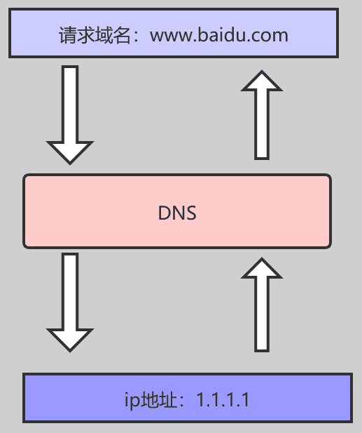 企业网络入门-了解DNS协议