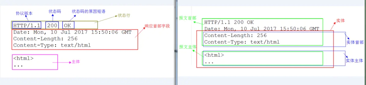 web安全入门-http实体报文