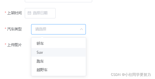 在vue中的form表单中下拉框中的数据来自数据库查询到的数据