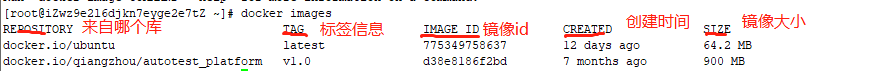 MySQL的数据库database(二)