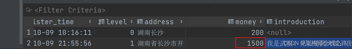 Vue+SpringBoot+ElementUi+mybatis-plus 实现用户信息的修改及模拟充值