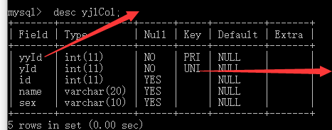 MySQL修改表结构(五)