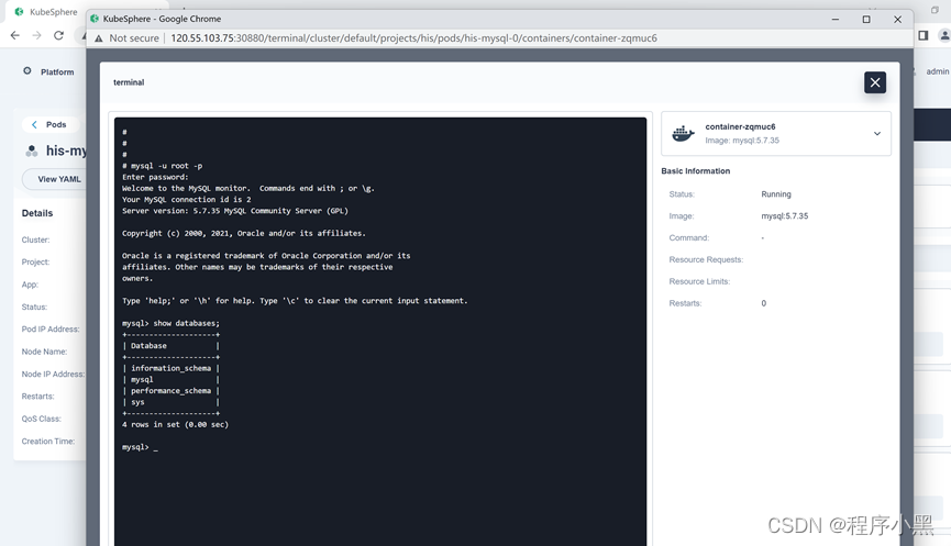 Kubesphere下配置Mysql工作负载