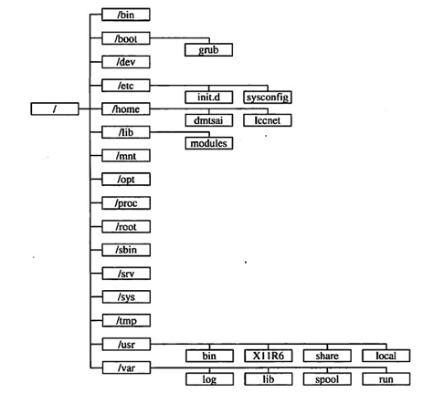Linux 目录结构