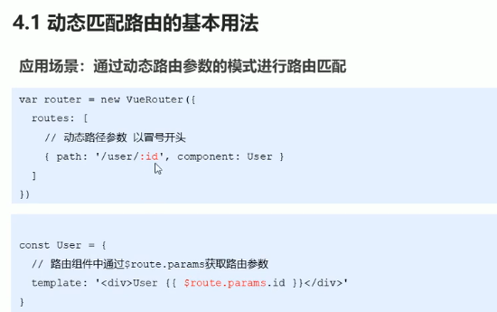前端-vue基础98-vue router动态路由匹配