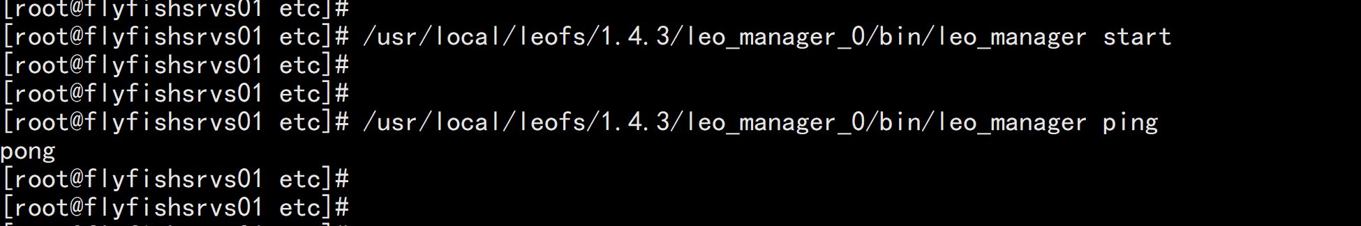 leofs 分布式存储部署安装