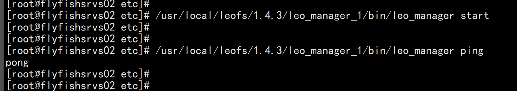 leofs 分布式存储部署安装