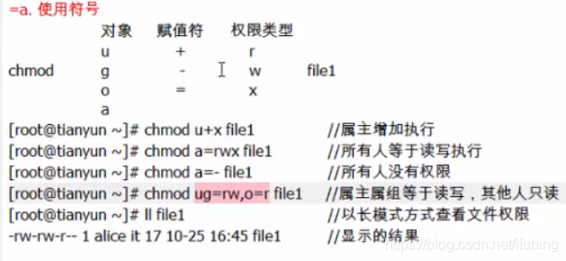 linux-权限案例-文件与目录权限