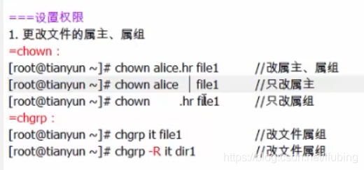 linux-基本权限-chown-chod_linux_13