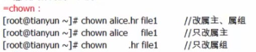 linux-修改所有者与所属组