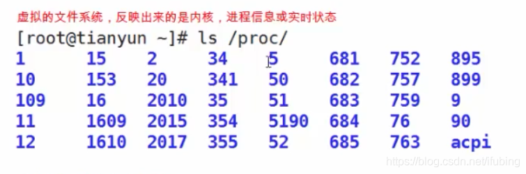 linux-目录结构