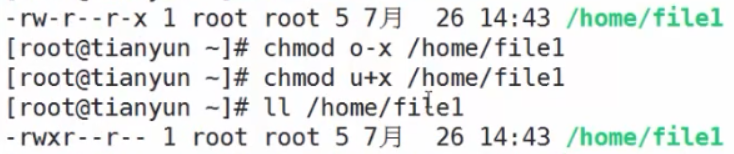 linux-权限案例-文件与目录权限