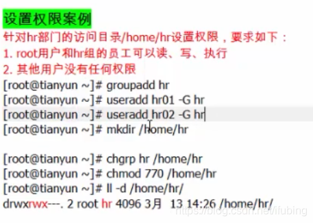 linux-权限案例-文件与目录权限