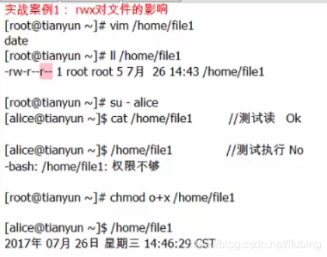 linux-权限案例-文件与目录权限