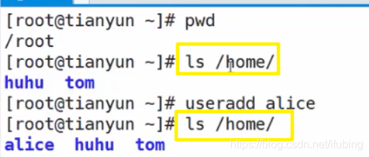 linux-目录结构