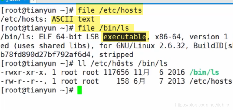 linux-文件类型与查看文件型_linux_08