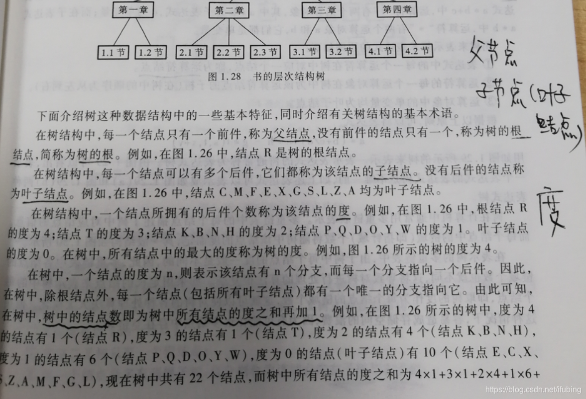 数据结构与算法-二叉树的名词概念与相关数据的计算_父节点_02