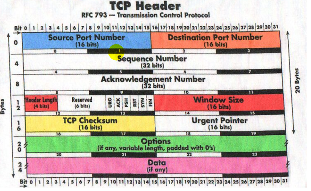 tcp/ip首部