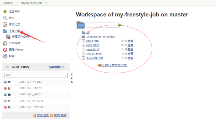 Jenkins 创建一个freestyle的Job