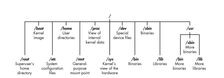 【Linux For Hacker】————2、基础知识