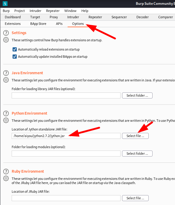 2021Kali系列 -- BurpSuite(sqlmap插件)