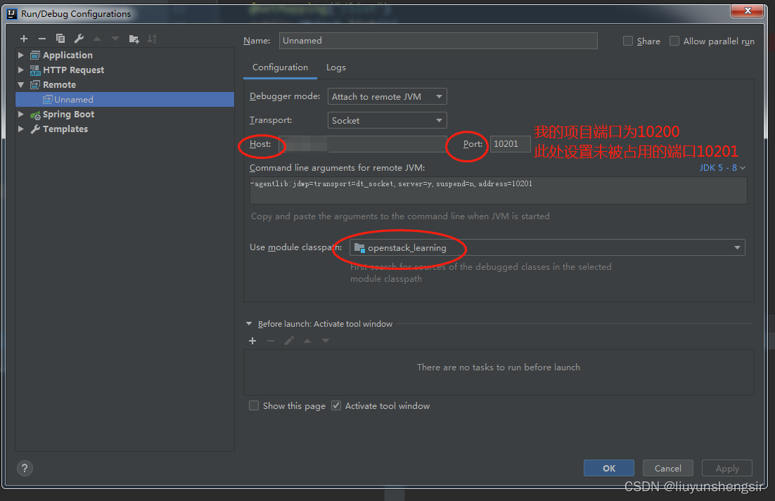 Intellij IDEA基于Springboot的远程调试