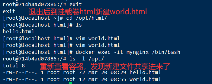 Docker 常用【容器】命令