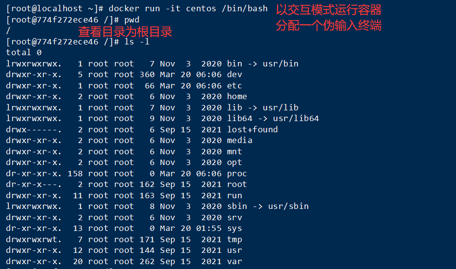 Docker 常用【容器】命令