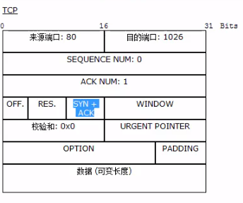 #yyds干货盘点#TCP&UDP