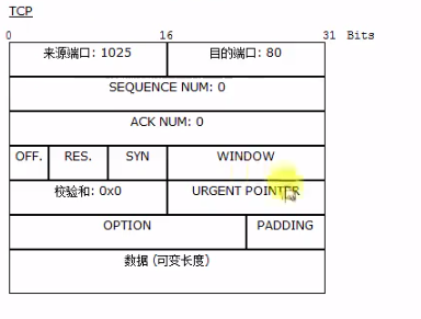 #yyds干货盘点#TCP&UDP