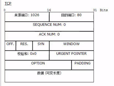 #yyds干货盘点#TCP&UDP