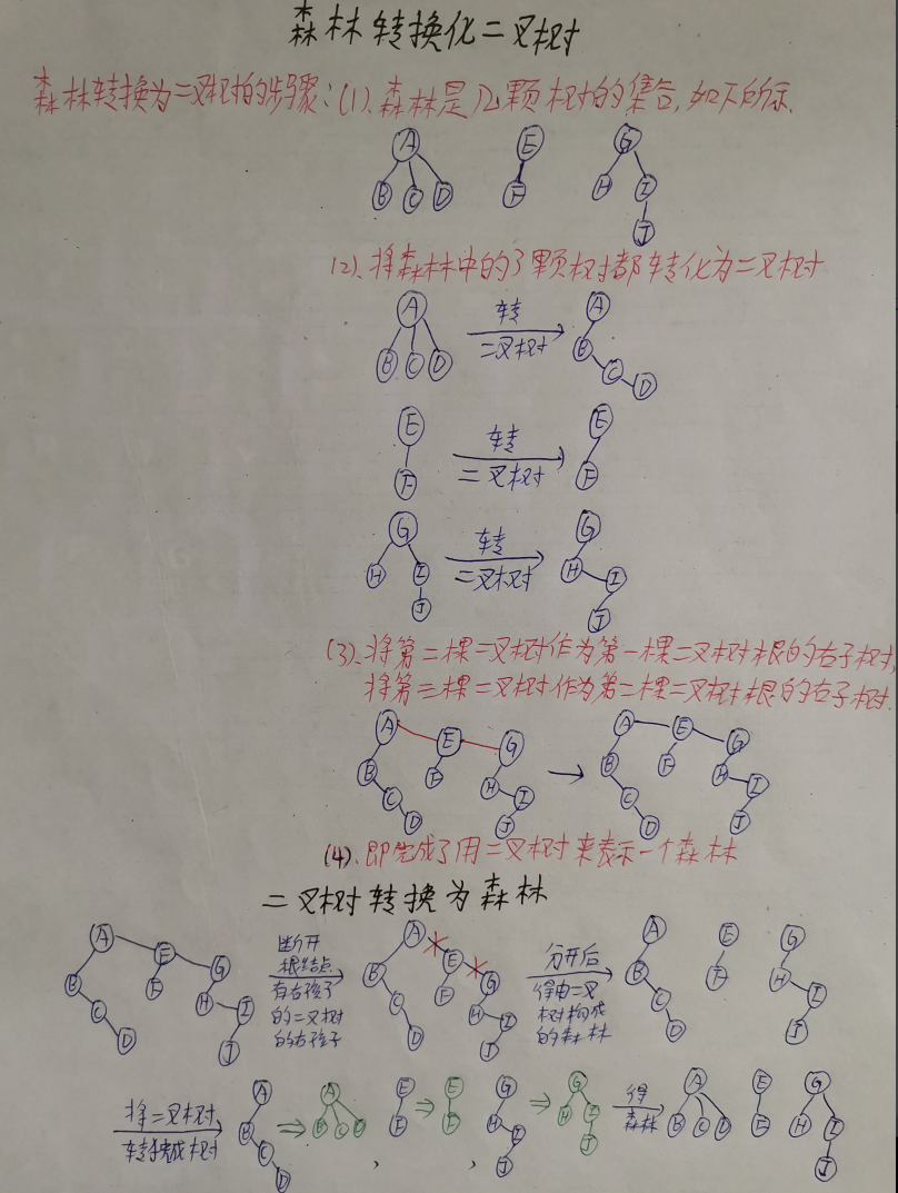 考研数据结构之树（6.4）——树和森林与二叉树的相互转换（C表示）