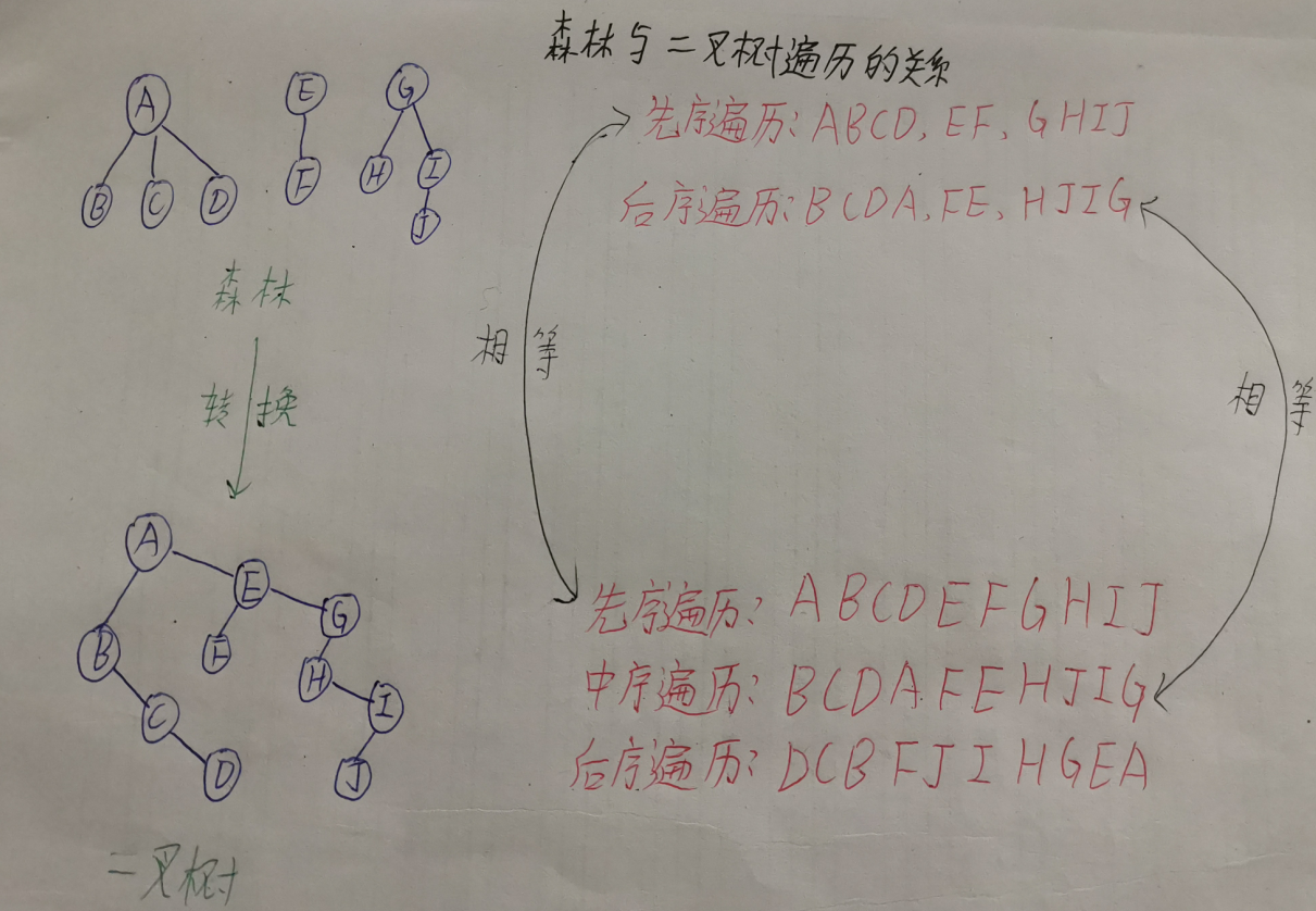 考研数据结构之树（6.4）——树和森林与二叉树的相互转换（C表示）